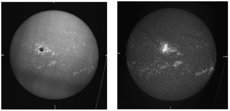 This image has an empty alt attribute; its file name is screen-shot-2021-07-16-at-12.08.28-1.png